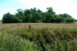 The hidden remains of Gresham castle, 2006. - click to view the full sized version